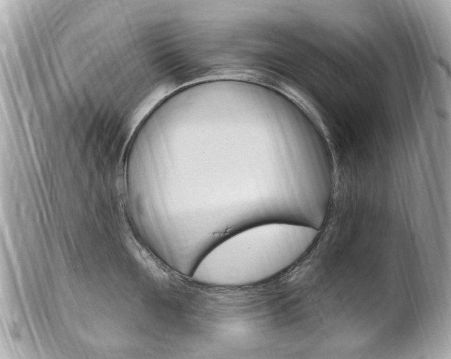 X0000102000907200807180845