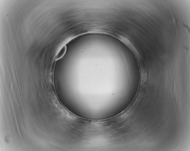 X0000102000908200807180845