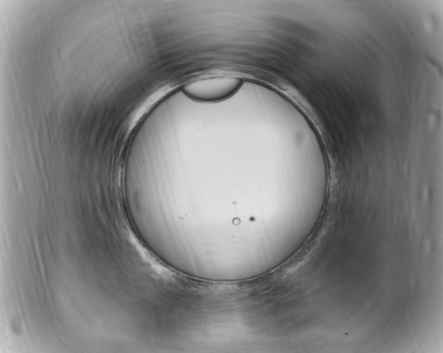 X0000102000909200807180845