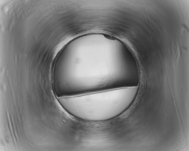 X0000102000910200807180845