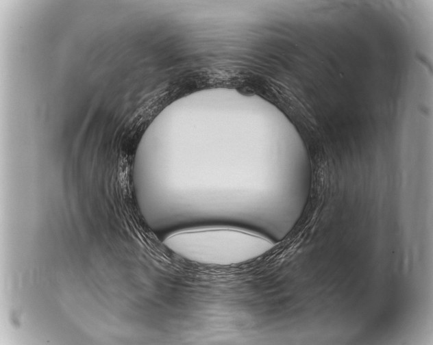 X0000102000914200807180845