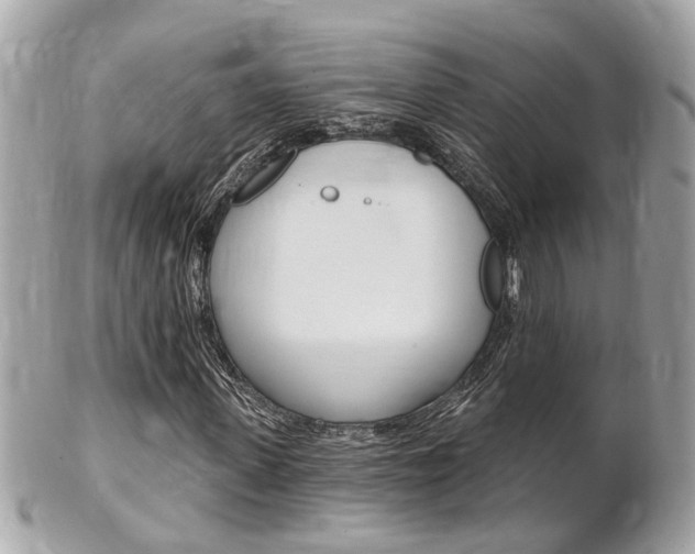 X0000102000915200807180845