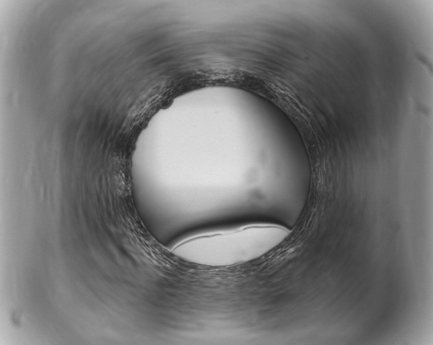 X0000102000916200807180845