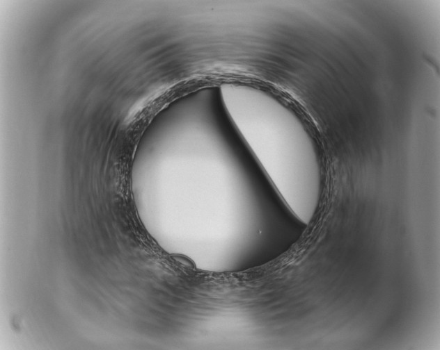 X0000102000919200807180845
