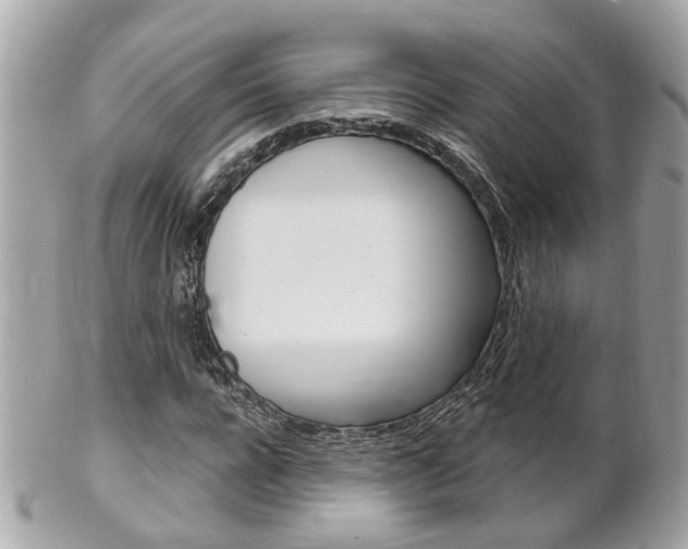 X0000102000920200807180845