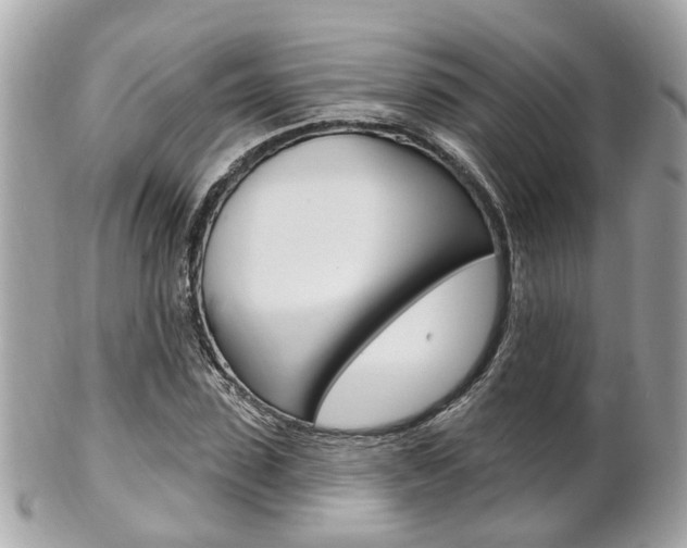 X0000102000923200807180845