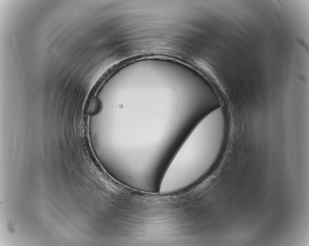 X0000102000924200807180845