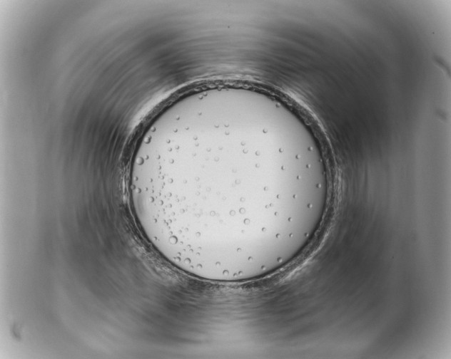 X0000102000925200807180845