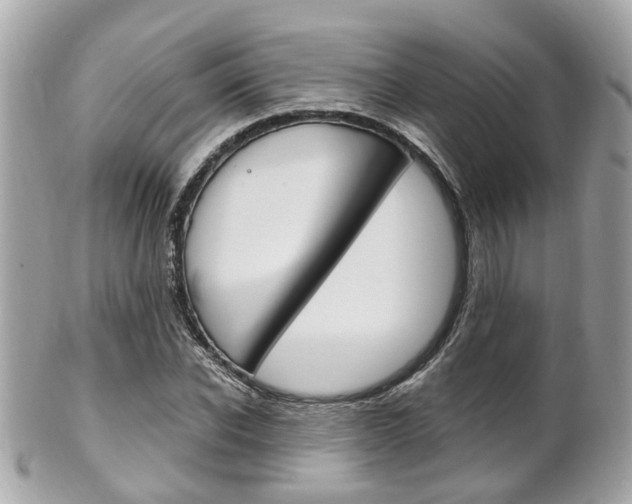 X0000102000926200807180845