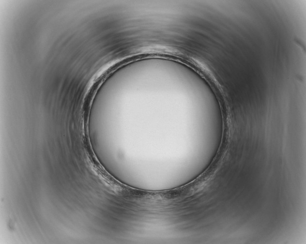 X0000102000931200807180845