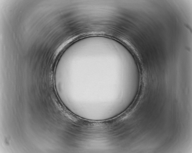 X0000102000933200807180845