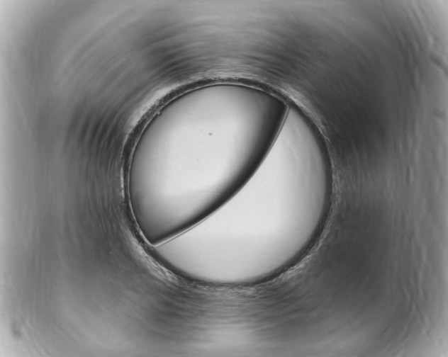 X0000102000934200807180845