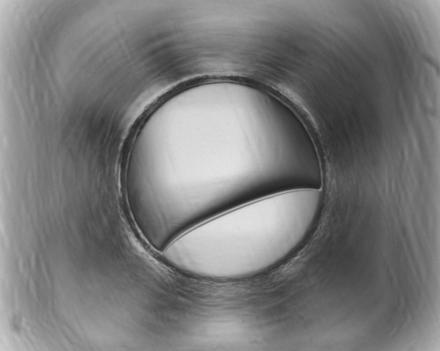 X0000102000935200807180845