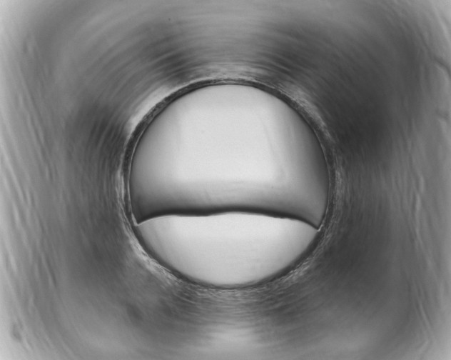 X0000102000936200807180845