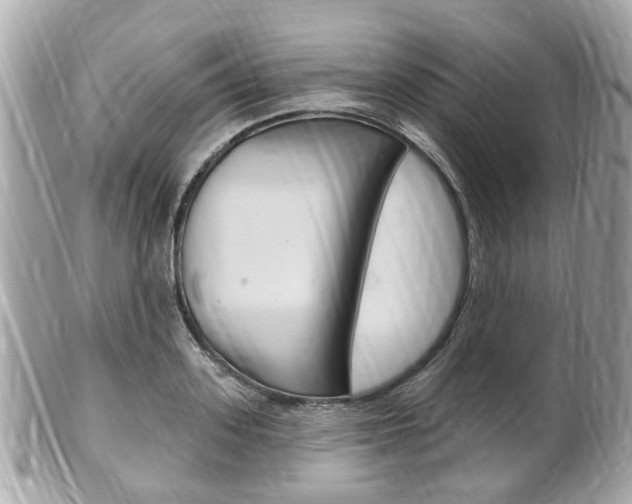 X0000102000939200807180845
