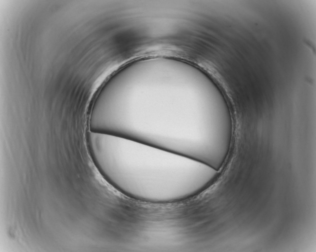 X0000102000941200807180845