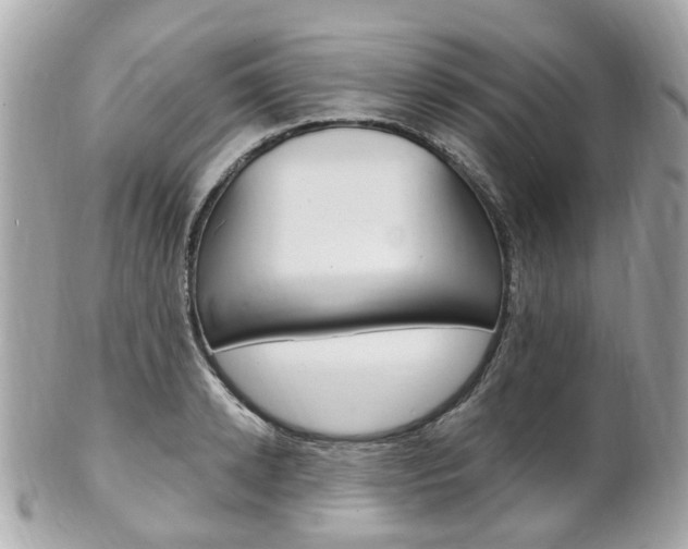X0000102000942200807180845