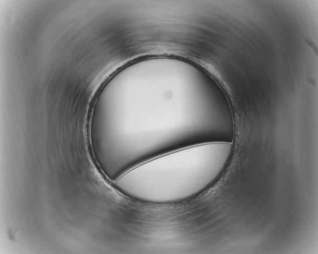 X0000102000943200807180845