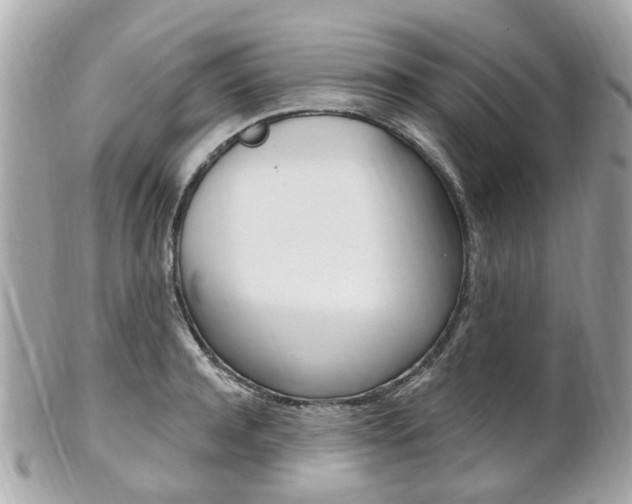 X0000102000944200807180845