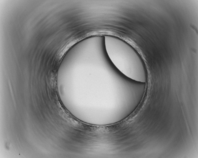 X0000102000945200807180845