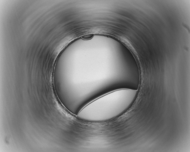 X0000102000946200807180845