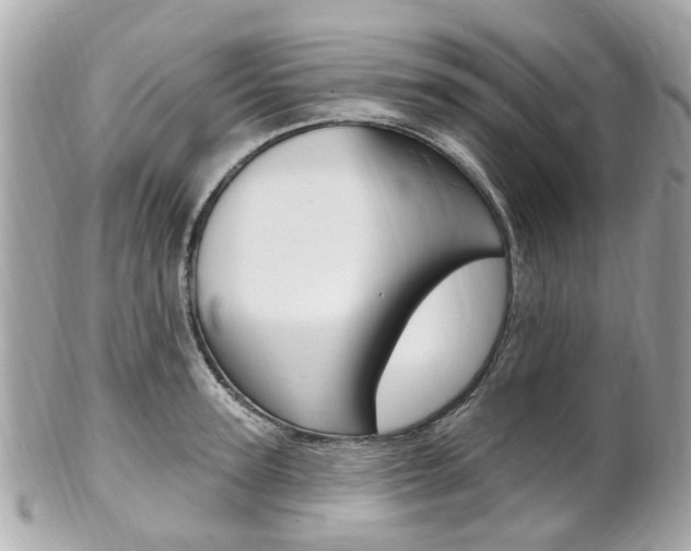 X0000102000947200807180845