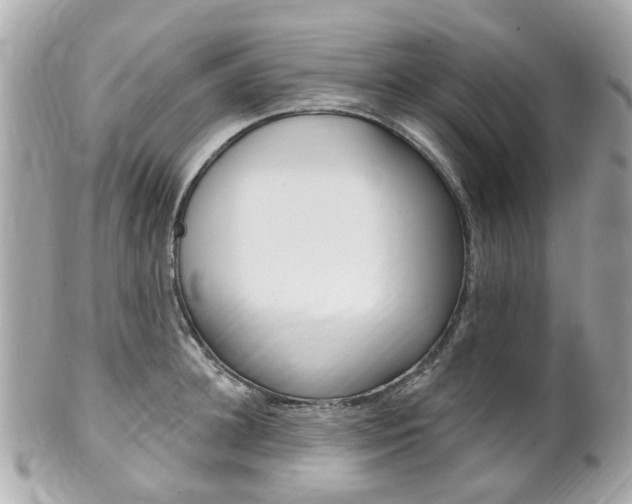 X0000102000948200807180845