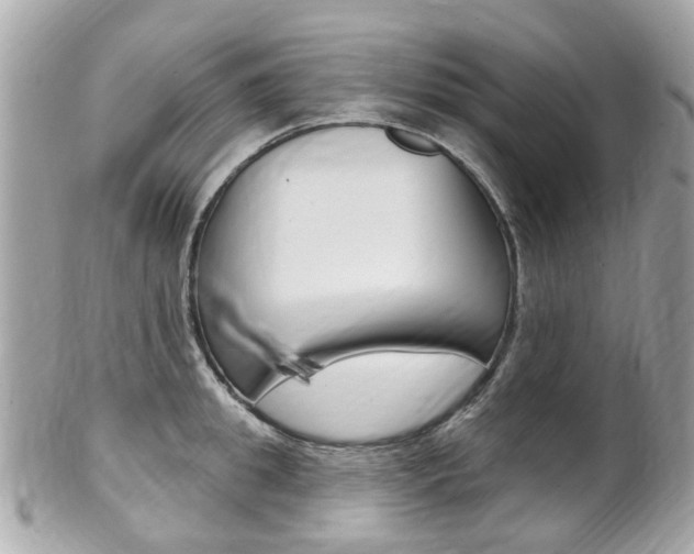 X0000102000949200807180845