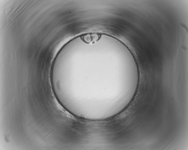 X0000102000950200807180845