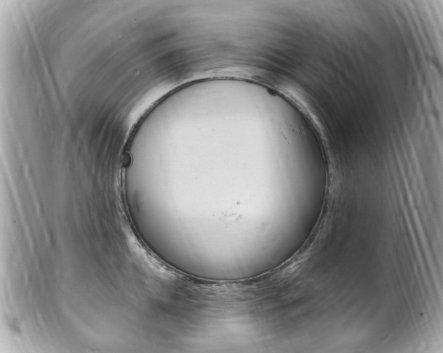 X0000102000952200807180845