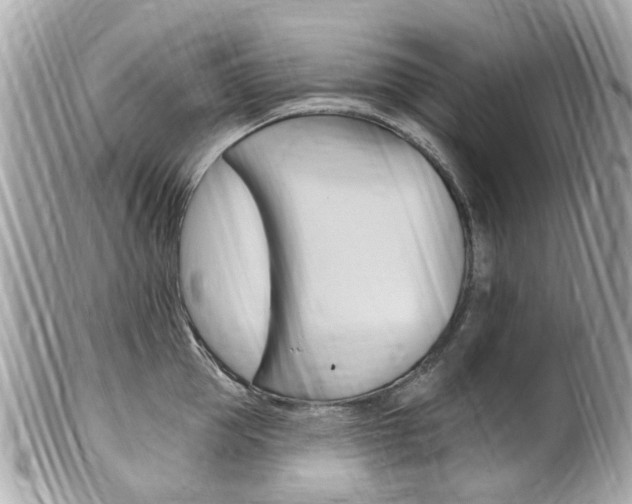 X0000102000953200807180845