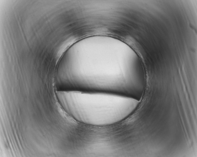 X0000102000954200807180845