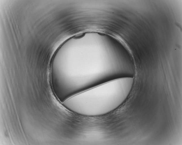 X0000102000955200807180845
