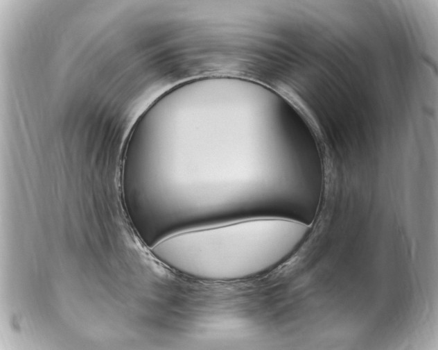 X0000102000956200807180845