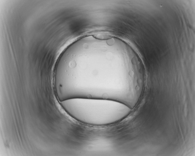 X0000102000957200807180845