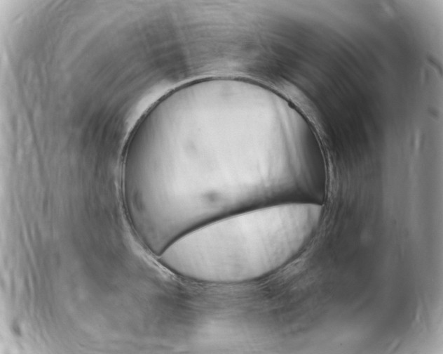 X0000102000958200807180845
