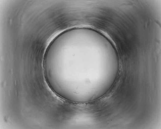X0000102000959200807180845