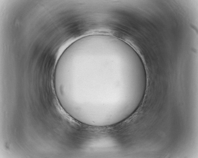 X0000102000960200807180845