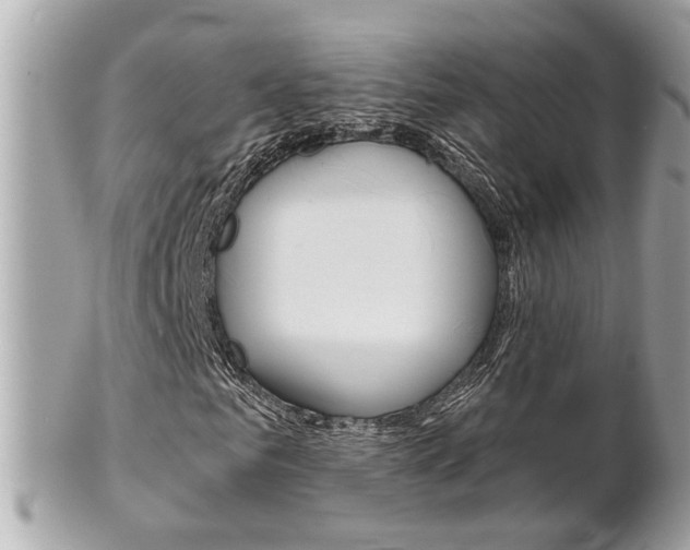 X0000102000961200807180845