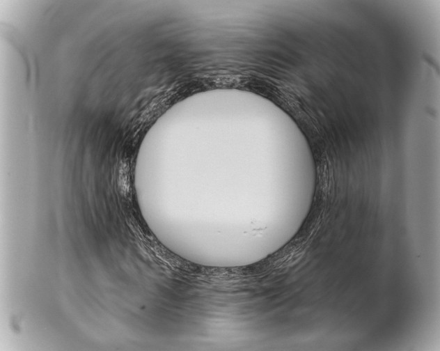 X0000102000962200807180845