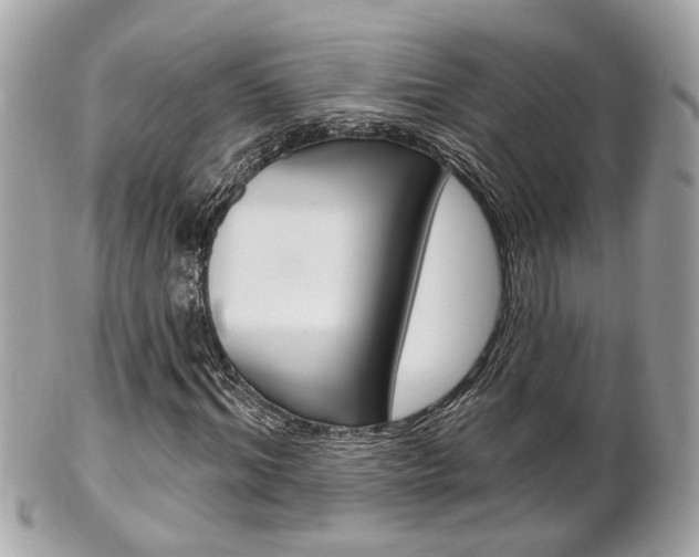X0000102000964200807180845