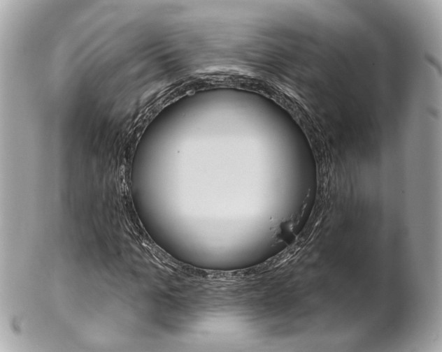 X0000102000965200807180845