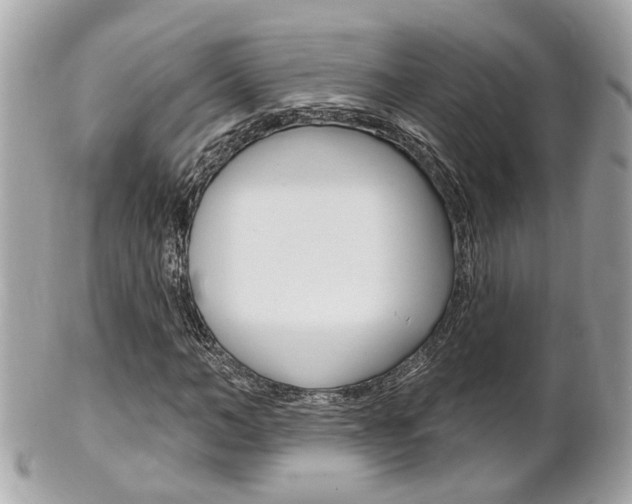 X0000102000966200807180845