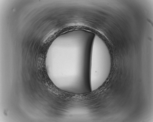 X0000102000967200807180845