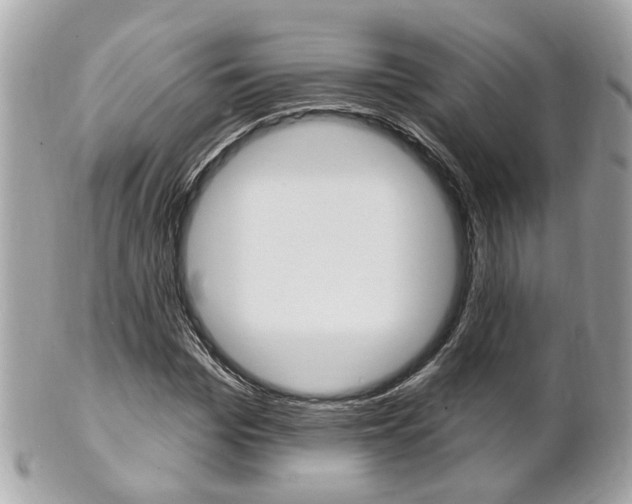 X0000102000969200807180845
