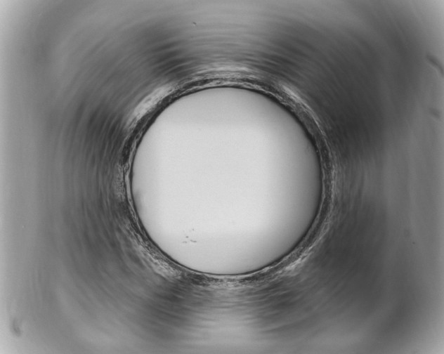 X0000102000970200807180845