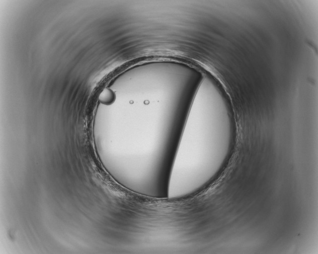 X0000102000971200807180845