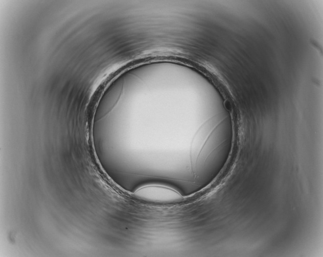 X0000102000973200807180845