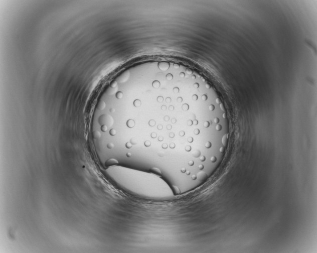 X0000102000974200807180845