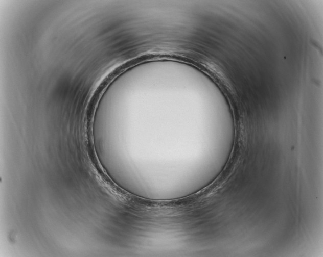 X0000102000976200807180845